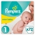 Pampers Premium Protection New Baby Gr. 1 (Newborn), 2–5 kg Halbmonatsbox, 72 Windeln -